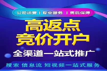 提升SEM运营效果：经典案例解析与策略